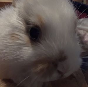 Meet your Posher, Cheryl